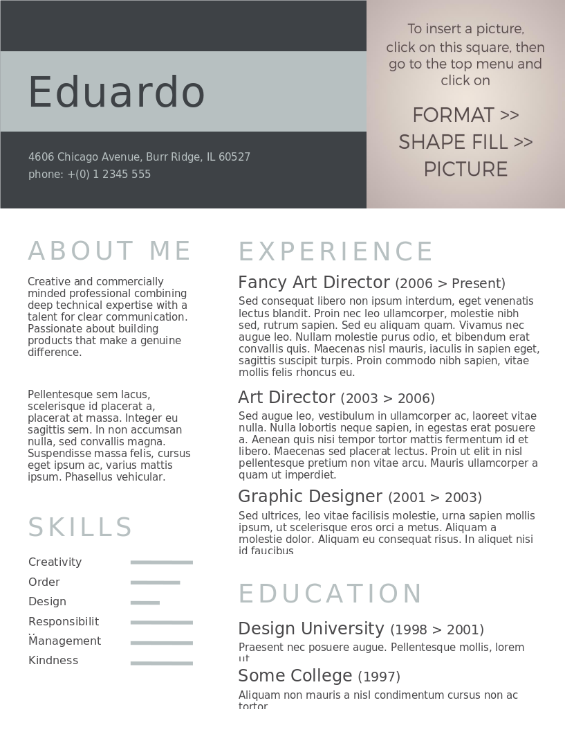 Bold Statement CV preview